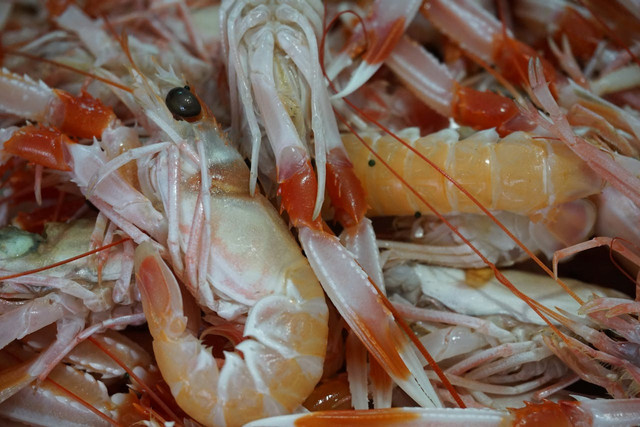Ilustrasi pemanfaatan chitosan coating dari kulit udang. Foto: Pexels