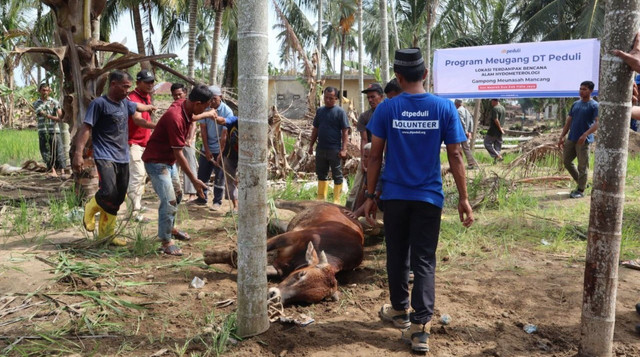 Tradisi Meugang, perayaan kebersamaan dalam menyambut bulan Suci Ramadhan (Sumber : DT Peduli)