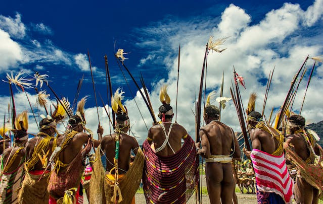 Bangkai burung cendrawasih yang diawetkan untuk hiasan kepala. Menjadi ciri khas Papua dan Maluku. Sumber foto: pexels.com