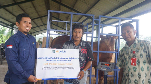 Penyerahan 10 Ekor bakalan sapi untuk penyintas yang tinggal di Huntap Bumi Semeru Damai (Sumber : DT Peduli)