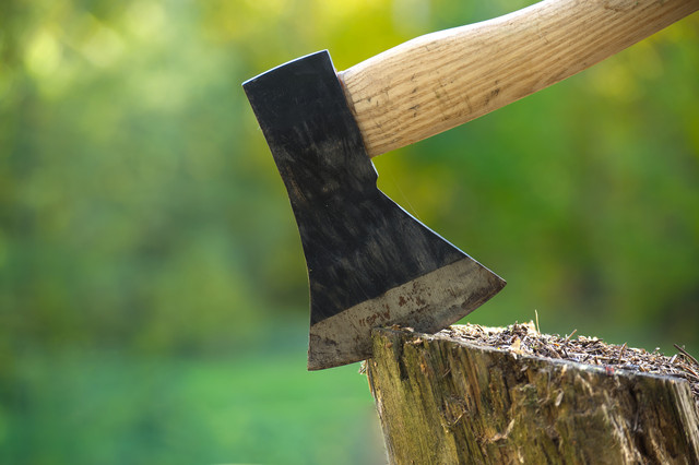 Ilustrasi kapak. Foto: NetPix/Shutterstock