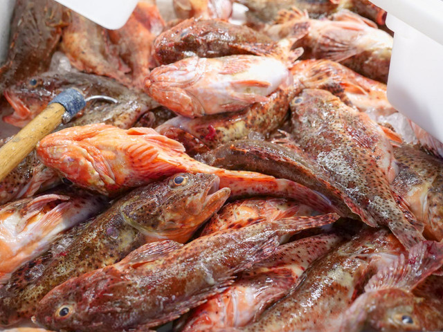 Ilustrasi fungsi spiral freezer dalam industri perikanan. Foto: Pexels