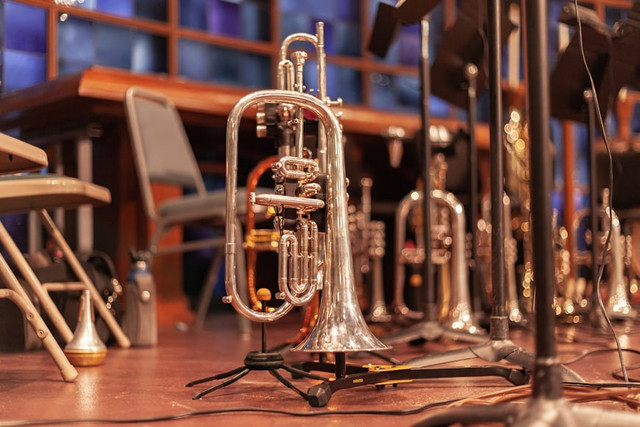 Ilustrasi contoh alat musik aerofon, foto: unsplash/Lucas Alexander