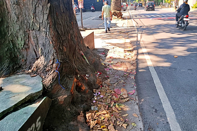 Lokasi kejadian pengeroyokan yang menewaskan siswa SMAN 5 Bandung di Jalan Cihampelas, Kota Bandung, Minggu (15/3). Foto: Abisatya/kumparan