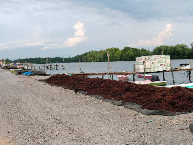 sumber: original. Kondisi pesisir kec. wotu kab. Luwu Timur