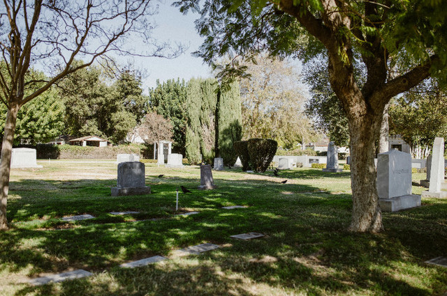 Ilustrasi Doa dan Tata Cara Ziarah Kubur Orang Tua, Pexels/RDNE Stock project