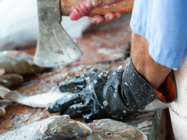 Ilustrasi pentingnya sanitasi dalam perikanan. Foto: Pexels
