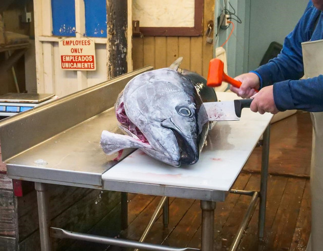 Ilustrasi fungsi klorin dalam pengolahan ikan. Foto: Pexels