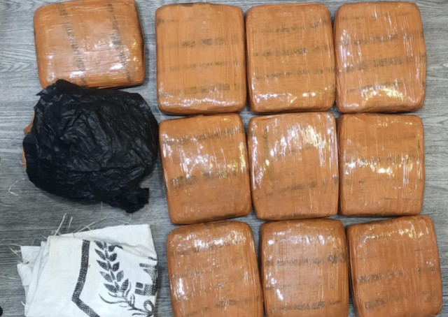 Barang bukti yang diamankan Polda Metro Jaya berupa 10 kg ganja. Foto: Dok. Istimewa