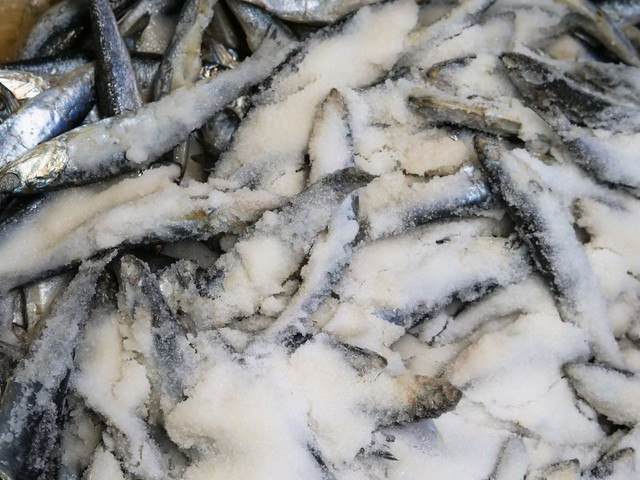 Ilustrasi kekurangan kench salting dalam pengolahan ikan tradisional. Foto: Pexels