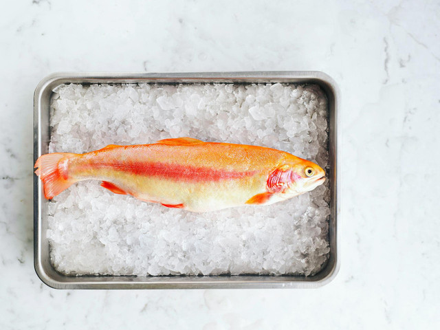 Ilustrasi metode pengemasan ikan. Foto: Pexels