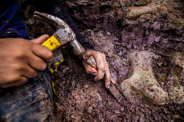 Para pekerja bekerja di lokasi penggalian tempat ditemukannya tulang dinosaurus di Davinopolis, negara bagian Maranhao, Brasil, 28 April 2021. Foto: Giovani de Toledo Viecili/Handout via REUTERS