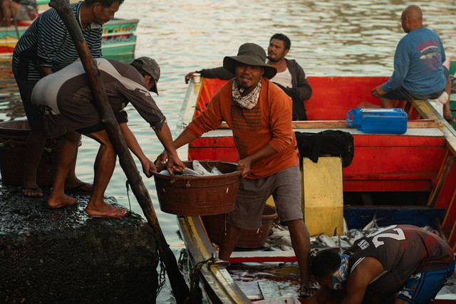 Ilustrasi pentingnya sistem rantai dingin dalam distribusi ikan (cold chain logistics). Foto: Pexels