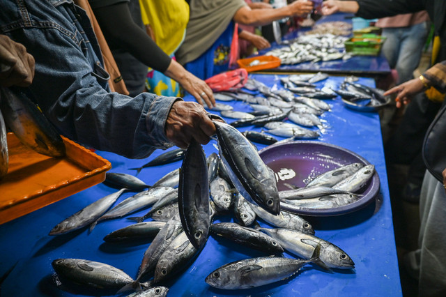 Ilustrasi pengolahan ikan segar.  Foto: Basri Marzuki/ANTARA FOTO