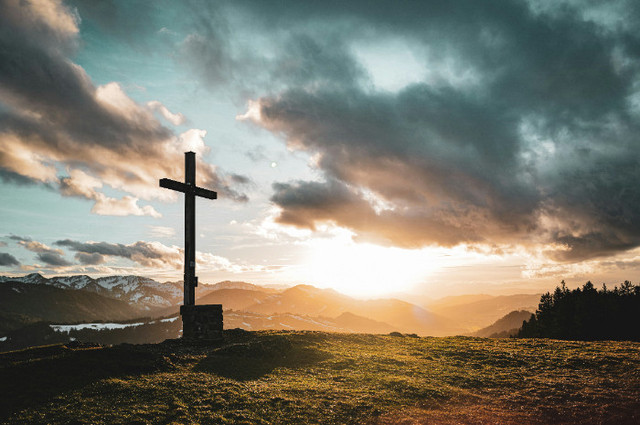 Ilustrasi Ayat Alkitab tentang Minggu Palma, Unsplash/Jonas Allert