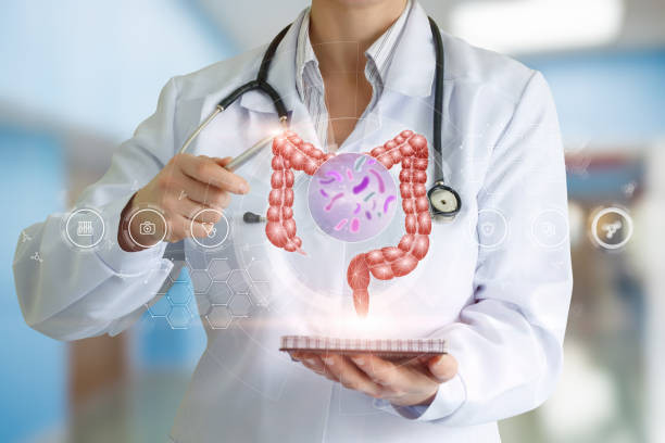 Ilustrasi Kesehatan Usus, Sumber:IStockphoto/Natali_Mis