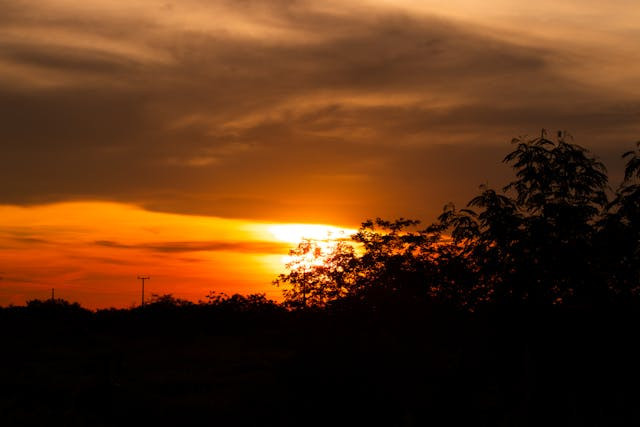 Ilustrasi Senja (https://www.pexels.com/id-id/foto/pemandangan-matahari-terbenam-yang-dramatis-dengan-pepohonan-yang-tampak-sebagai-siluet-36609347/)