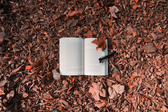 ILustrasi Resensi Novel adalah Apa?. Foto: Unsplash/Sibel Yıldırım