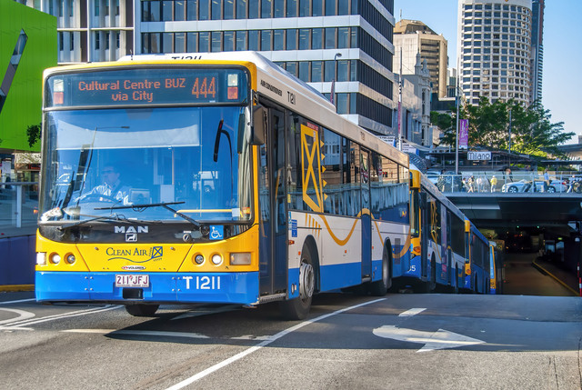 Ilustrasi transportasi umum australia. Foto: GagliardiPhotography/Shutterstock