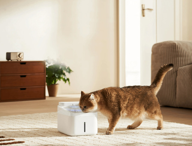 Ilustrasi tempat minum kucing otomatis. Foto: Dok. Xiaomi