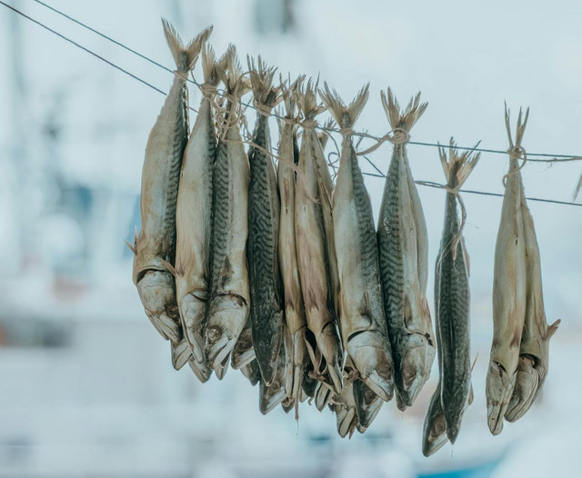 Ilustrasi pengeringan udara alami dalam industri perikanan. Foto: Pexels