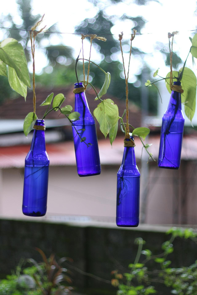 Foto oleh Amal A S: https://www.pexels.com/id-id/foto/botol-gantung-biru-cerah-dengan-dedaunan-hijau-33319875/