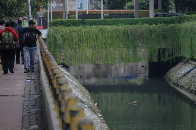 Warga yang berjalan di trotoar  melihat sejumlah ikan sapu-sapu yang berkembang biak di sungai di samping Plaza Indonesia, Jakarta, Selasa (31/3/2026). Foto: Jamal Ramadhan/kumparan