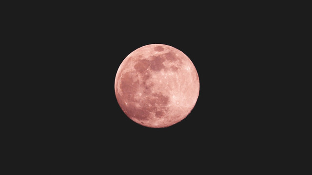 Ilustrasi Cara Melihat Pink Moon . Foto: Unsplash/uomo libero