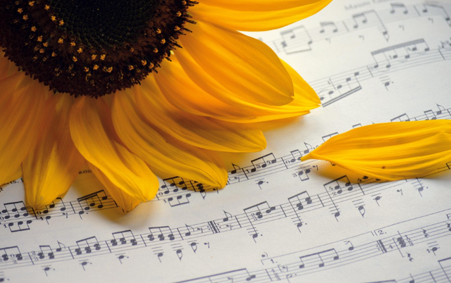 Ilustrasi lirik lagu sembilu berbisa. Sumber: Pixabay/neelam279