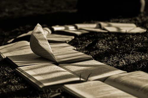 Ilustrasi Apa Itu Penelitian Historik, Foto: Unsplash/Dav Hovhannisyan