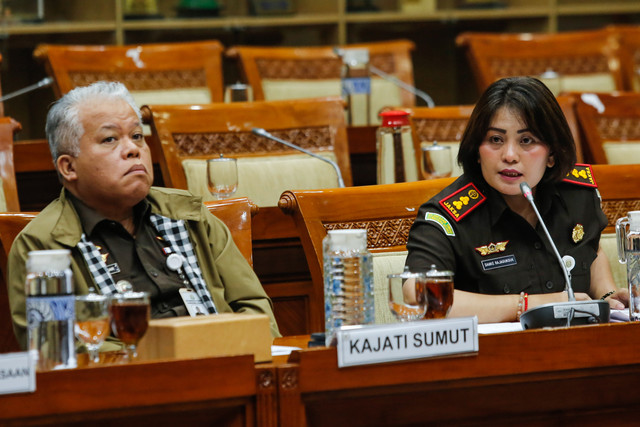 Harli Siregar bersama Danke Rajagukguk menyampaikan pendapat serta pandangan hukum dalam rapat dengar pendapat umum (RDPU) bersama Komisi III DPR di Kompleks Parlemen, Senayan, Jakarta, Kamis (2/4/2026). Foto: Asprilla Dwi Adha/ANTARA FOTO