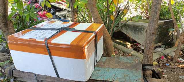 Tim Gegana Amankan Kotak Misterius di Tangerang : Ternyata Berisi Bangkai Kucing. Foto: Dok. Humas Polresta Tangerang