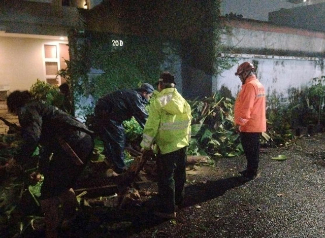 Pohon tumbang di Kebayoran Lama, Jakarta Selatan imbas hujan deras pada Jumat (3/4/2026). Foto: Dok. BPBD Jakarta