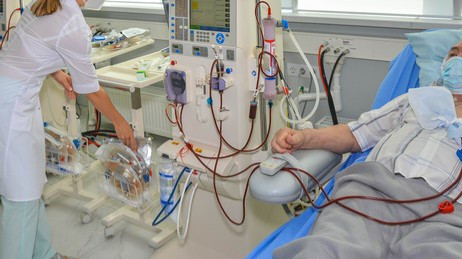 Sumber: Shutterstock