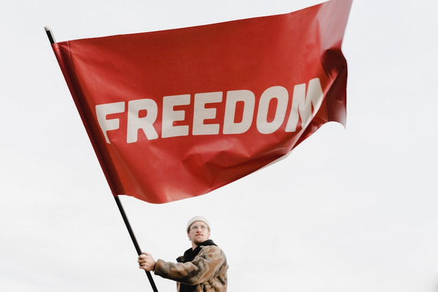 Ilustras Liberal adalah Apa?. Foto: Unsplash/Nate Steele