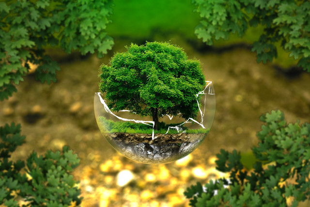 Ilustrasi lingkungan. Foto: Pixabay