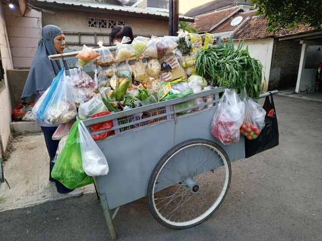 Ilustrasi pedagang sayur. Foto: NovArt/Shutterstock
