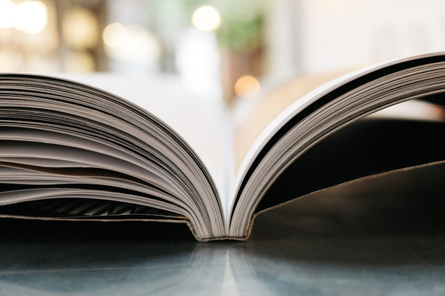 Ilustrasi Bahasa Pasif adalah Apa, Foto:Unsplash/Jonas Jacobsson