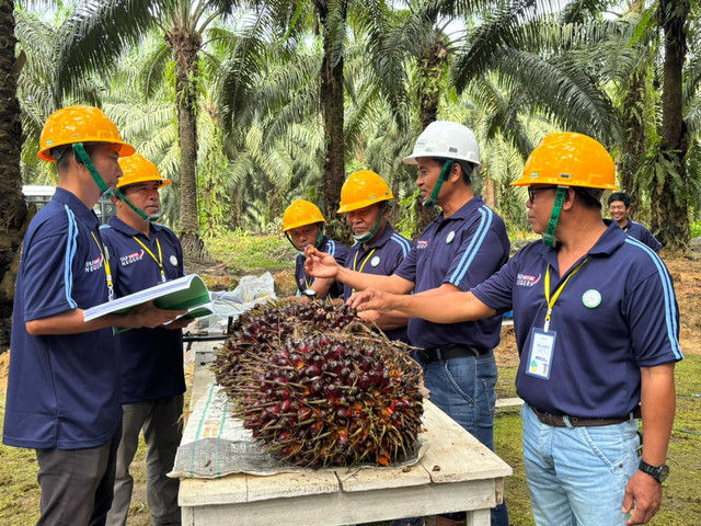 Pelatihan Petani Berkualitas dan Sejahtera (PERKASA) dari PT Triputra Agro Persada Tbk (TAPG). Foto: TAPG