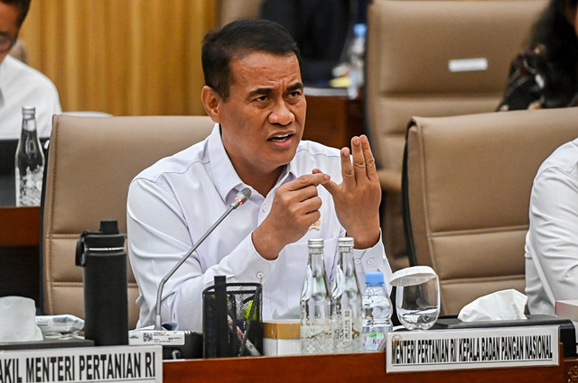 Menteri Pertanian Andi Amran Sulaiman menyampaikan paparan saat mengikuti rapat kerja dengan Komisi VI DPR di Kompleks Parlemen, Senayan, Jakarta, Rabu (8/4/2026). Foto: Rivan Awal Lingga/ANTARA FOTO