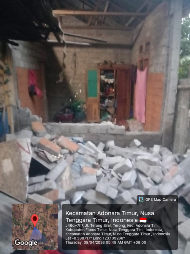  Kondisi rumah warga di desa Terong, Kecamatan Adonara Timur, Kabupaten Flores Timur, NTT rubuh diguncang gempa. Foto: Dok. Istimewa