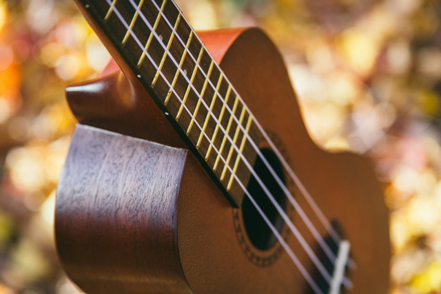 Ilustrasi chord ukulele sikilku iso muni. Foto: Unsplash