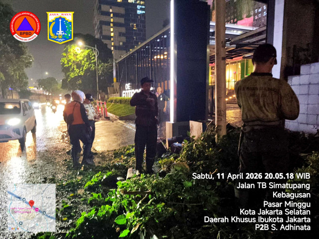 Insiden pohon tumbang dalam waktu sepekan terakhir di Kelurahan Kebagusan, Pasar Minggu, Jakarta Selatan. Foto: Dok. BPBD DKI Jakarta