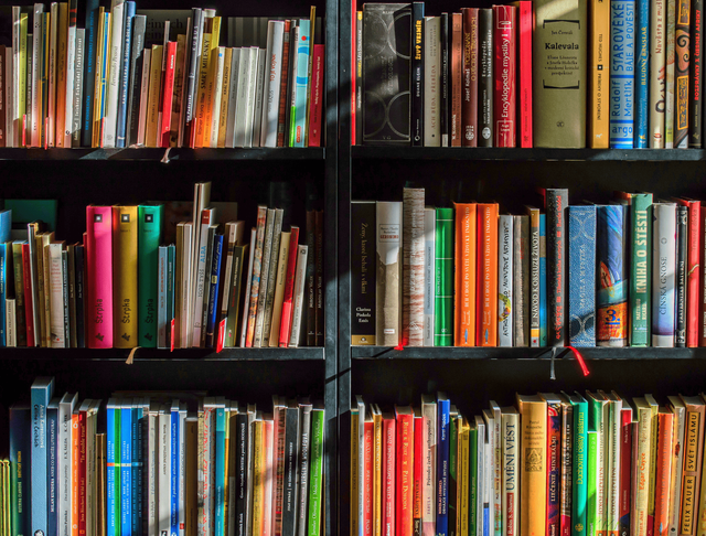 Ilustrasi rak buku sebagai simbol pengetahuan dan literasi. Foto: Pixabay