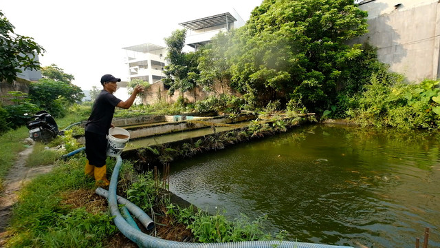Pembudidaya ikan, Dodo. Foto: Bakom RI