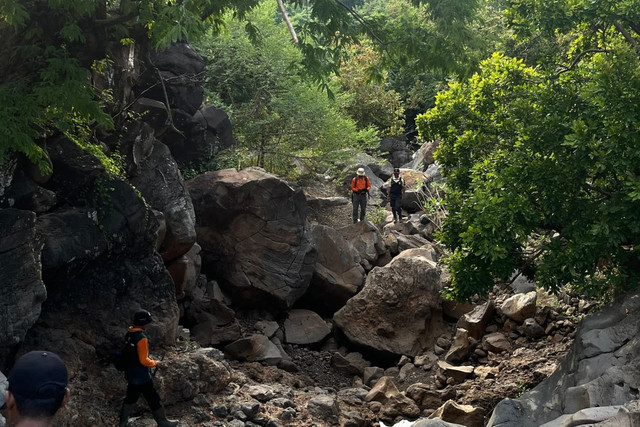 Tim SAR mencari kakek yang dilaporkan hilang di TN Baluran, Jatim. Foto: kumparan