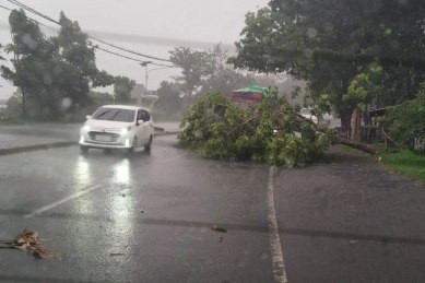 Angin kencang disertai hujan menyebabkan pohon tumbang hingga papan reklame roboh di wilayah Kota dan Kabupaten Mojokerto, Minggu (12/4/2026). Foto: BPBD Jatim