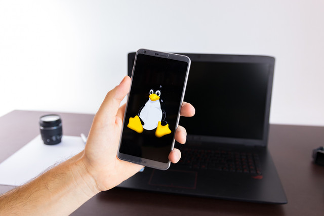 Ilustrasi sistem operasi Linux. Foto: Alberto Garcia Guillen/Shutterstock