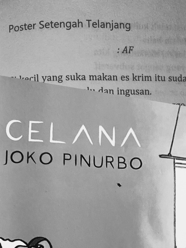 Puisi "Poster Setengah Telanjang" Joko Pinurbo. Foto: Melia