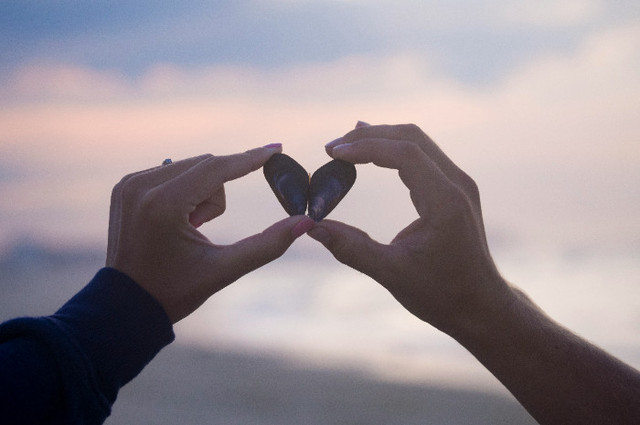 Ilustrasi Sinopsis Istiqomah Cinta SCTV. Foto: Unsplash/Aaron Burden